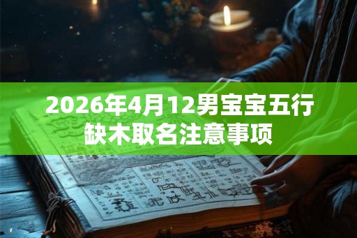 2026年4月12男宝宝五行缺木取名注意事项