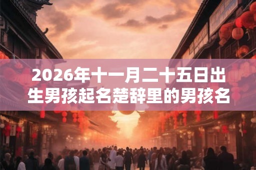 2026年十一月二十五日出生男孩起名楚辞里的男孩名字