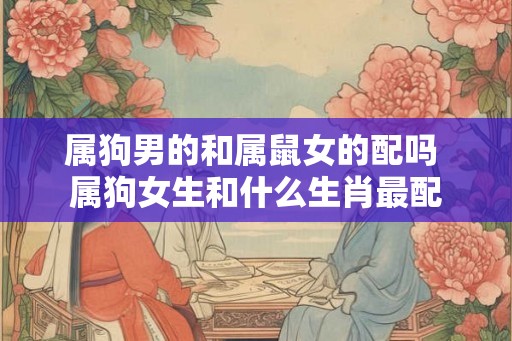属狗男的和属鼠女的配吗 属狗女生和什么生肖最配