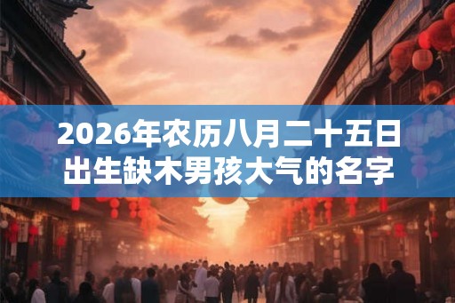 2026年农历八月二十五日出生缺木男孩大气的名字