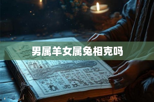 男属羊女属兔相克吗