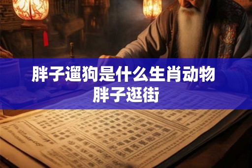 胖子遛狗是什么生肖动物 胖子逛街