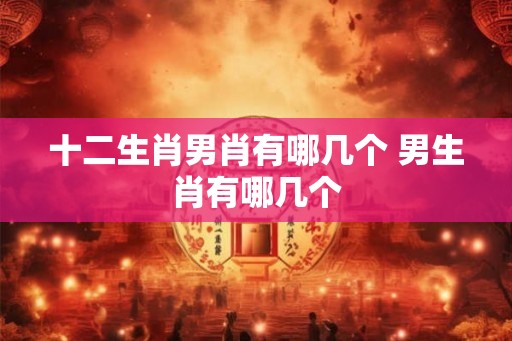 十二生肖男肖有哪几个 男生肖有哪几个