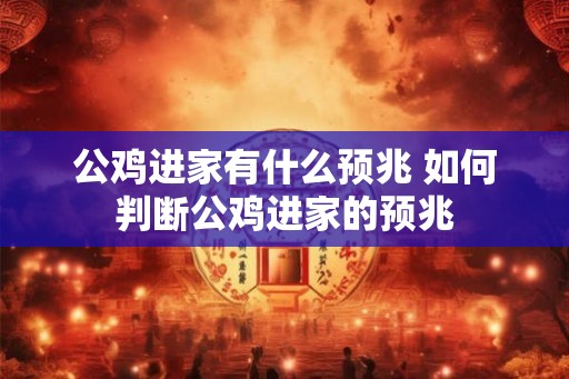 公鸡进家有什么预兆 如何判断公鸡进家的预兆