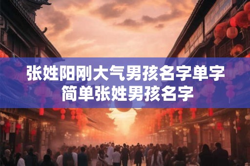 张姓阳刚大气男孩名字单字 简单张姓男孩名字