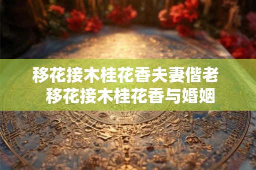 移花接木桂花香夫妻偕老  移花接木桂花香与婚姻