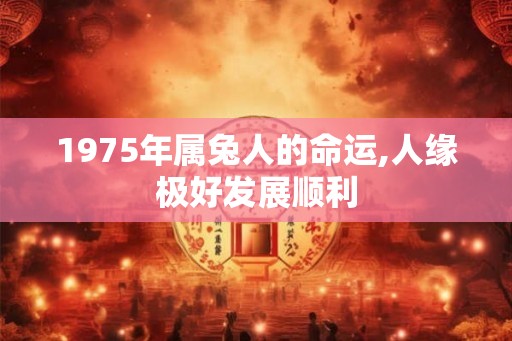 1975年属兔人的命运,人缘极好发展顺利