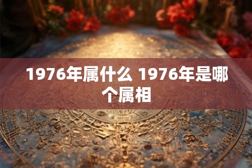 1976年属什么 1976年是哪个属相