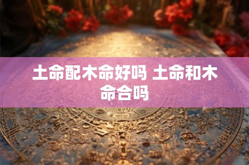 土命配木命好吗 土命和木命合吗