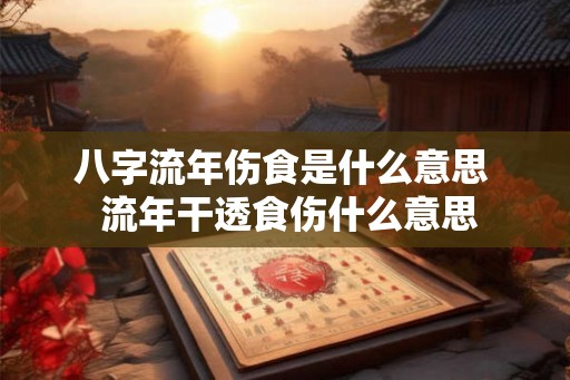 八字流年伤食是什么意思  流年干透食伤什么意思