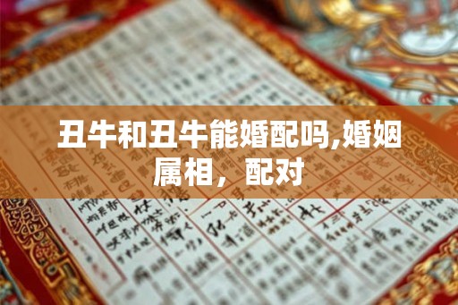 丑牛和丑牛能婚配吗,婚姻属相，配对
