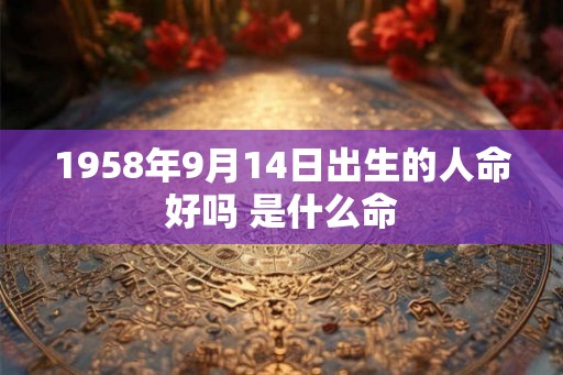 1958年9月14日出生的人命好吗 是什么命