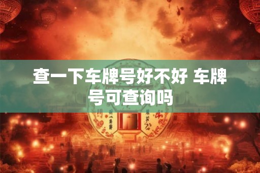 查一下车牌号好不好 车牌号可查询吗