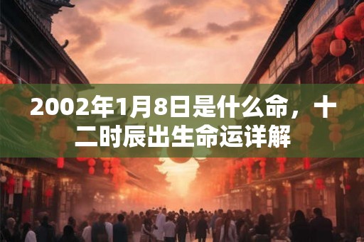 2002年1月8日是什么命,十二时辰出生命运详解 2002年1月8日是什么命,十二时辰出生命运详解