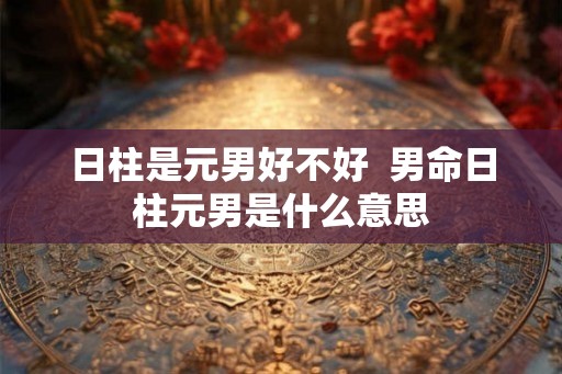 日柱是元男好不好  男命日柱元男是什么意思