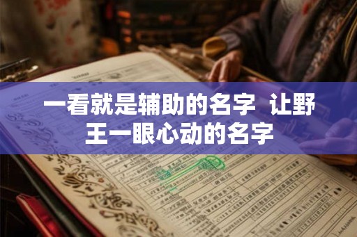 一看就是辅助的名字  让野王一眼心动的名字