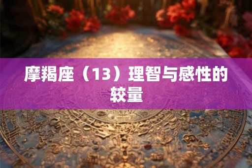 摩羯座（13）理智与感性的较量