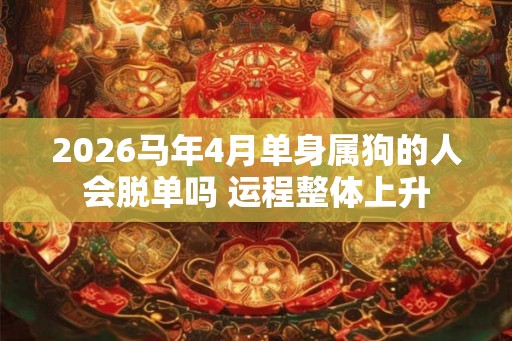 2026马年4月单身属狗的人会脱单吗 运程整体上升 2026马年4月单身属狗的人会脱单吗 运程整体上升