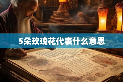 5朵玫瑰花代表什么意思