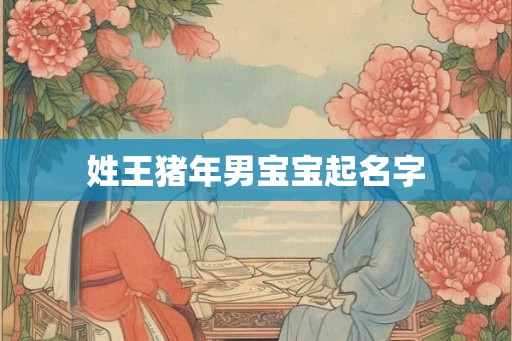 姓王猪年男宝宝起名字