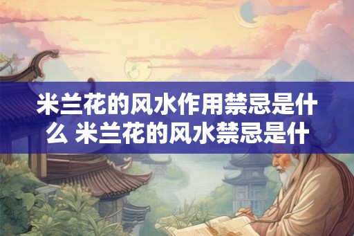 米兰花的风水作用禁忌是什么 米兰花的风水禁忌是什么