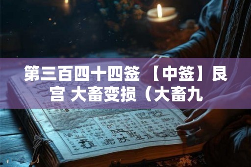 第三百四十四签 【中签】艮宫 大畜变损（大畜九