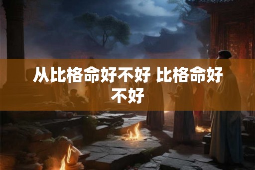从比格命好不好 比格命好不好