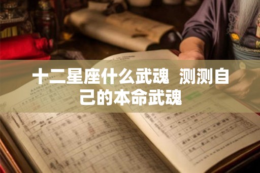十二星座什么武魂  测测自己的本命武魂