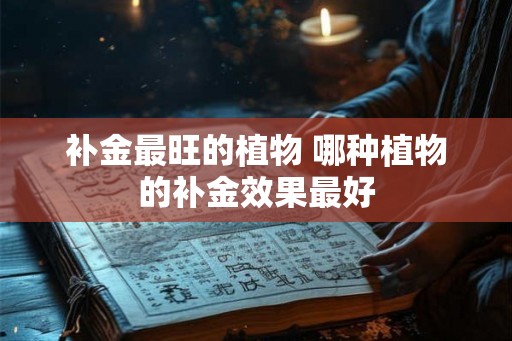 补金最旺的植物 哪种植物的补金效果最好