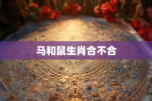 马和鼠生肖合不合