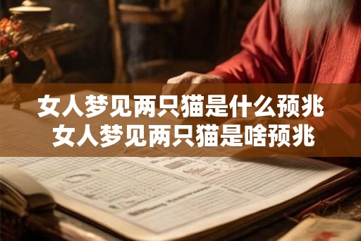 女人梦见两只猫是什么预兆 女人梦见两只猫是啥预兆