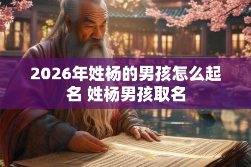 2026年姓杨的男孩怎么起名 姓杨男孩取名