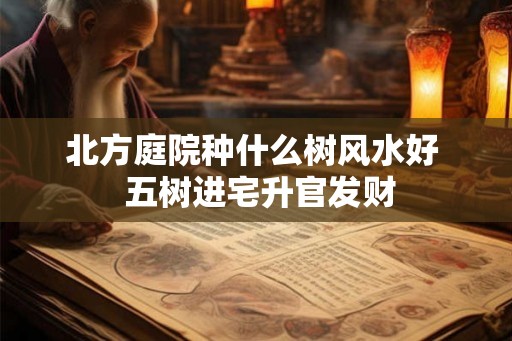 北方庭院种什么树风水好  五树进宅升官发财