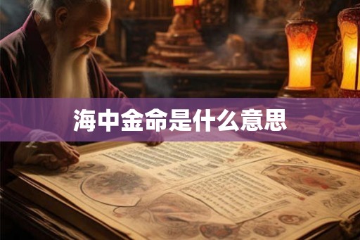 海中金命是什么意思 海中金命是什么意思
