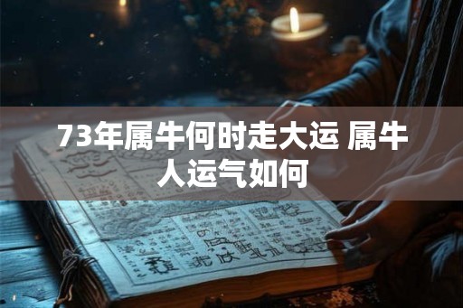 73年属牛何时走大运 属牛人运气如何