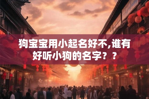 狗宝宝用小起名好不,谁有好听小狗的名字？？