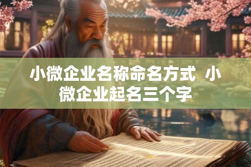 小微企业名称命名方式 小微企业起名三个字 小微企业名称命名方式 小微企业起名三个字