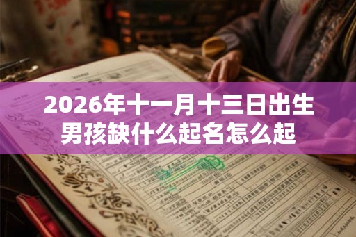 2026年十一月十三日出生男孩缺什么起名怎么起