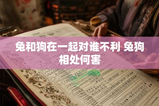 兔和狗在一起对谁不利 兔狗相处何害