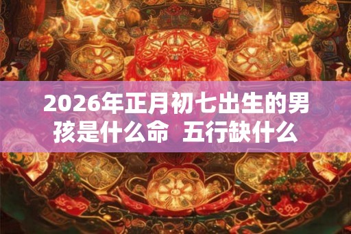 2026年正月初七出生的男孩是什么命  五行缺什么