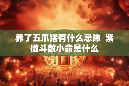 养了五爪猪有什么忌讳  紫微斗数小命是什么