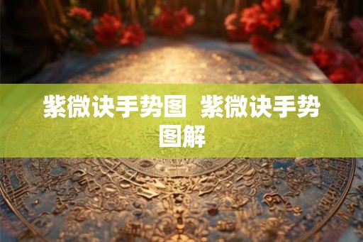 紫微诀手势图  紫微诀手势图解