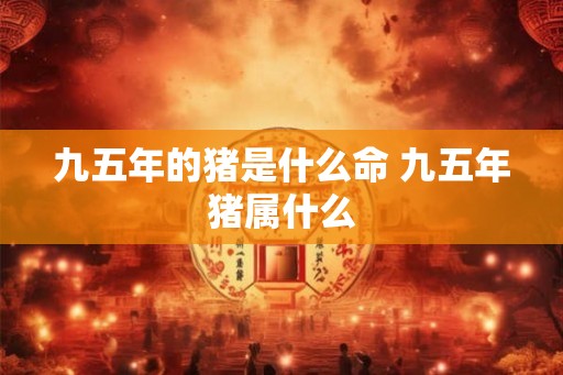 九五年的猪是什么命 九五年猪属什么