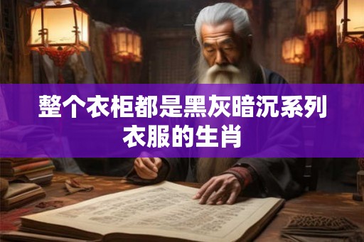 整个衣柜都是黑灰暗沉系列衣服的生肖