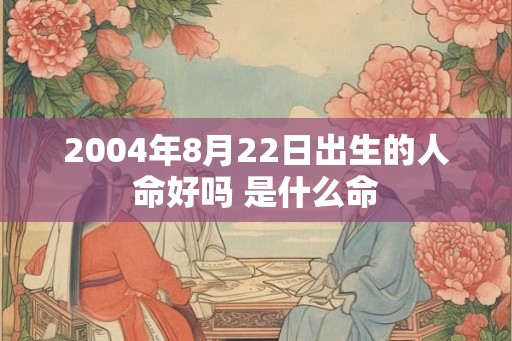 2004年8月22日出生的人命好吗 是什么命