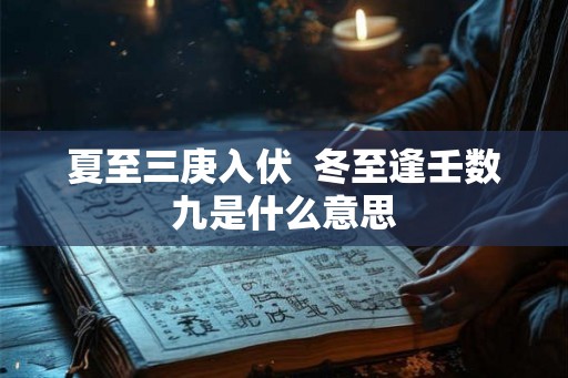 夏至三庚入伏  冬至逢壬数九是什么意思