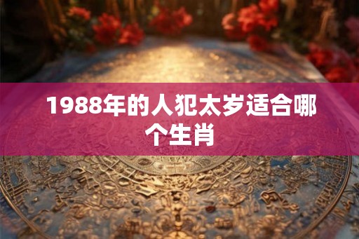 1988年的人犯太岁适合哪个生肖