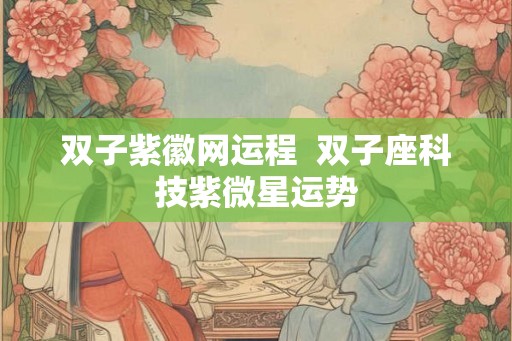 双子紫徽网运程  双子座科技紫微星运势