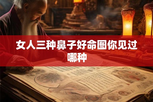 女人三种鼻子好命图你见过哪种