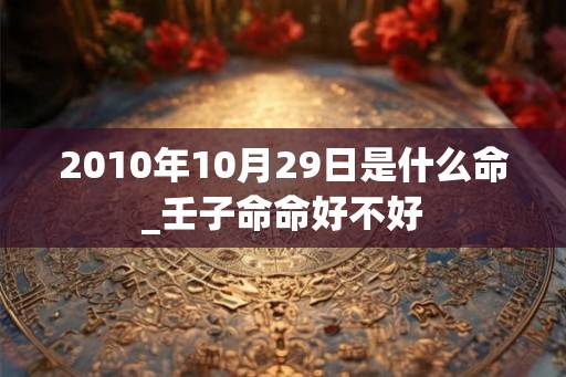 2010年10月29日是什么命_壬子命命好不好